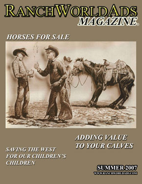 Issue 2